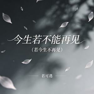 今生若不能再见（若今生不再见）