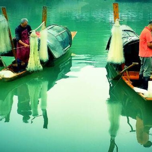 侗家今日歌更多