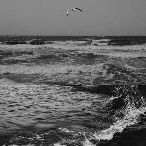 海底