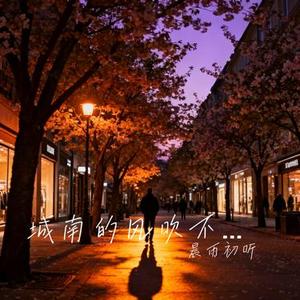 城南的风吹不到北巷