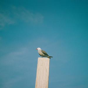 我已不是那个自己