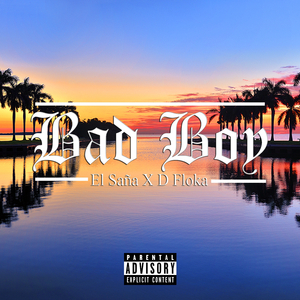 Bad Boy