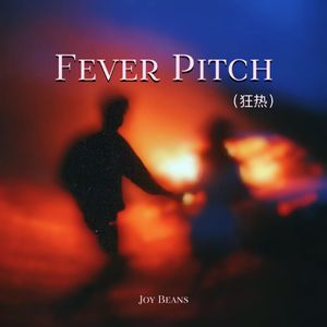 Fever Pitch（狂热）