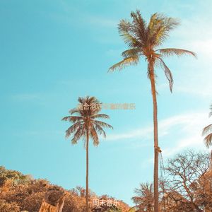 适合旅馆绝妙的音乐