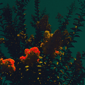 เจ้าชายน้อย