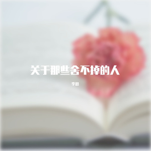 时间都去哪儿了（翻唱）