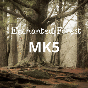 Enchanted Forest