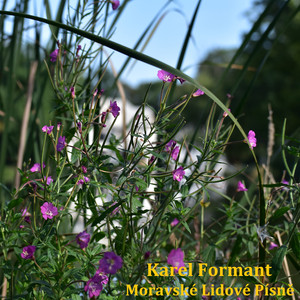 Ked sem išel z rána