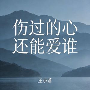 伤过的心还能爱谁