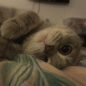 TRA$H-晚安 宝贝（AlleN remix）