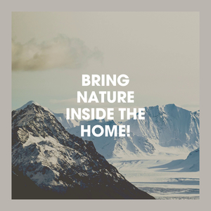 Sounds from the Sea 1: Sea Foam