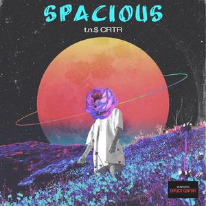 Spacious (feat. Crtr)