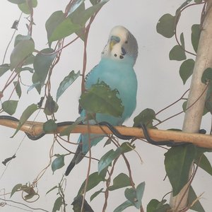 他乡惯看月钩斜 来往行人来去车