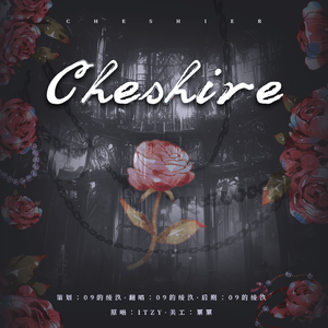 Cheshire（from：ITZY）