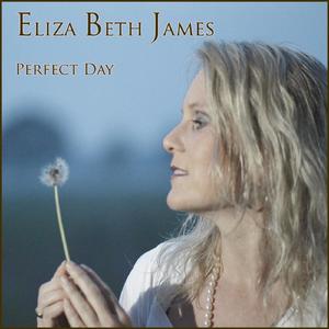 PERFECT DAY (Radio Edit)