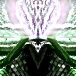 我到底该怎么说 ft.aceneverbesad