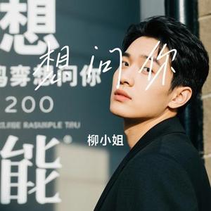 想问你 (Cover 老狼)