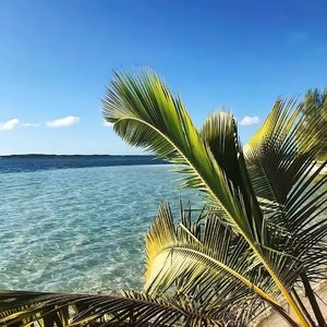 Leevis（Salao remix）