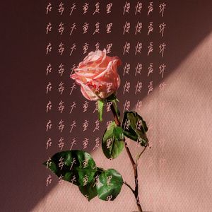 在每天重复里 慢慢爱你