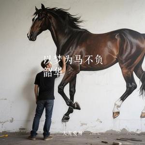 以梦为马不负韶华