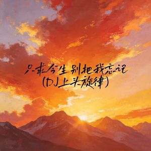 只求今生别把我忘记(DJ上头旋律)