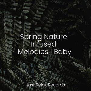 Solemn Echoes of Solitude