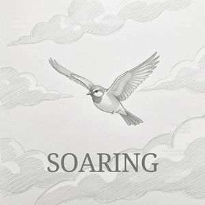 Soaring