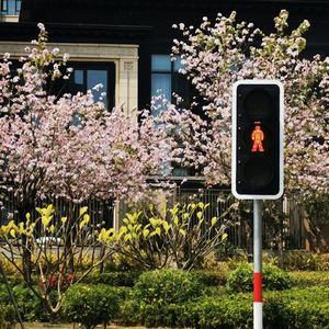 我觉得人生不是苦难应该是艺术