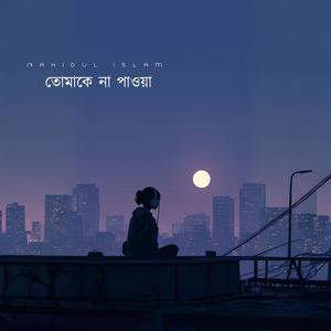 তোমাকে না পাওয়া