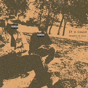 If U Could