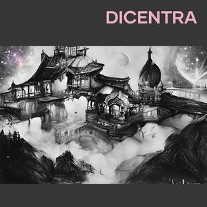 Dicentra