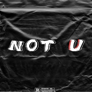 NOT U (Prod MoonVibe Beatz & Lil Siren)