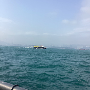 Honey and the bee (翻自owl city)