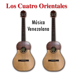 Las Bellas Noches De Maiquetia