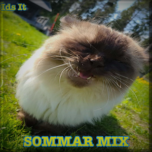 Ronny ehöver ett namn (Tidig Version)