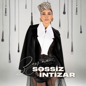 Səssiz İntizar