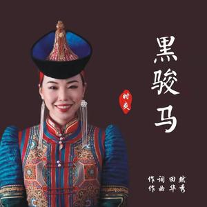 黑骏马（时爽）