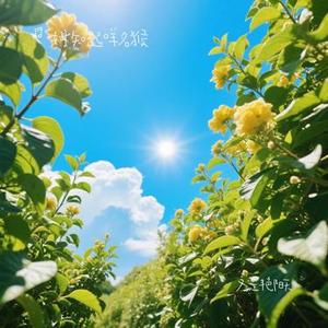又是艳阳天 (Cover 韦礼安 & 郭静)