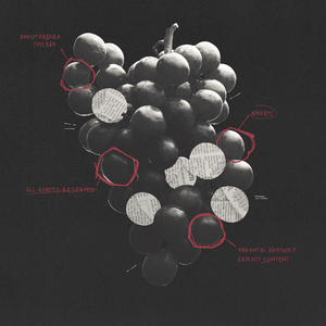 Виноградная гроздь