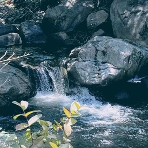 Mi Tierra la Resolana