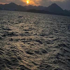 怀念啊老同学们 你们还好吗