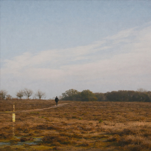 i didn’t want to wake you (slowed version)