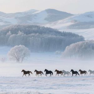 哭笑之间都是你