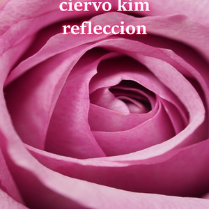 Refleccion (Glorias Rt)
