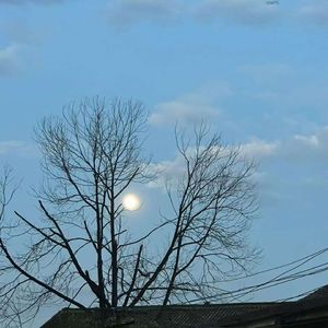 老屋的回声-白面书生