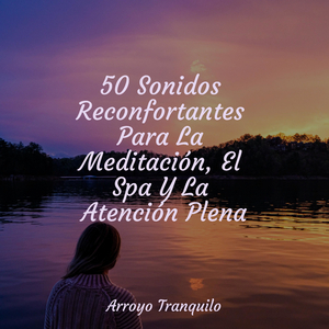 Tumbona Junto Al Lago