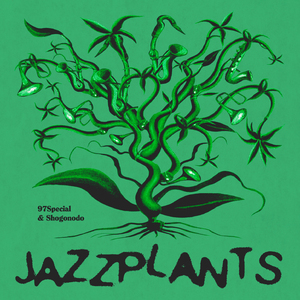 Jazzplants