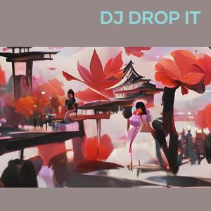 Dj Drop It