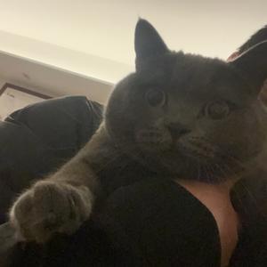 惩罚还是奖励（Prod Daisy Beat）