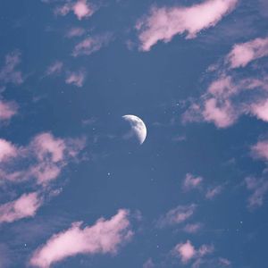 舔狗日记（love story）（Prod by 密码子）